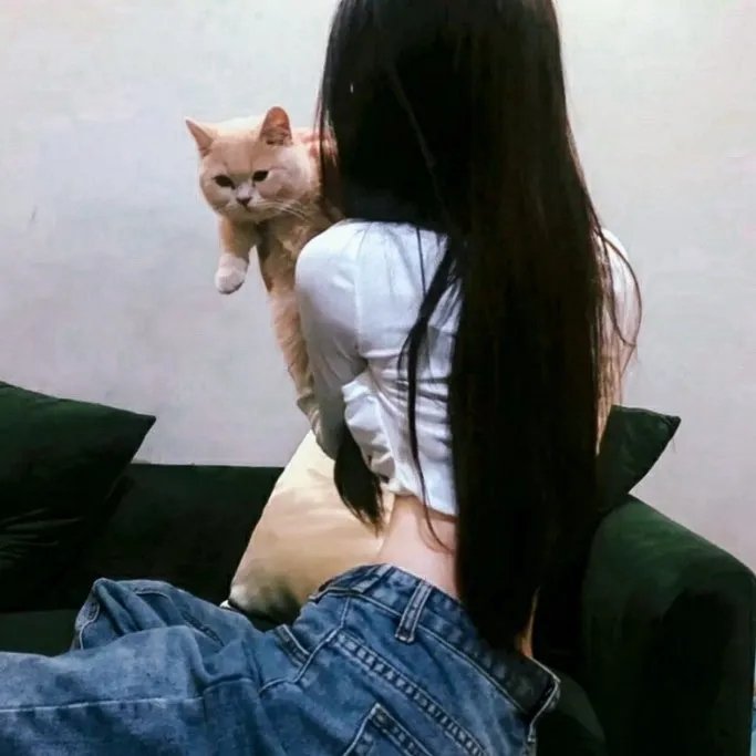 断箭